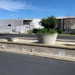 Daisy Bell Mobile Home Park - February 21st, 2024 Empty MASSIVE WATER FOUNTAIN THAT IF restored or filled would add AMAZING resources for God's Nature Creatures... :)