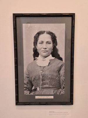 Santa Cruz Museum of Art & History by null