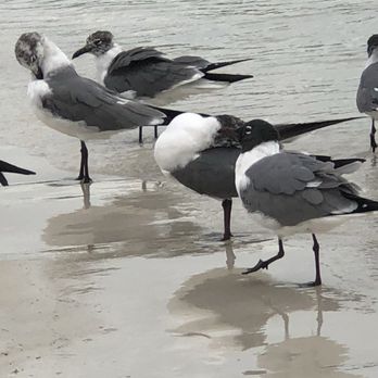 Oleta River State Park - Parks Near Me - North Miami Beach, Florida