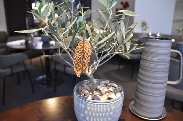 Restaurant Alan Geaam by null