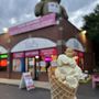 Photo of Teddy's Ice Cream