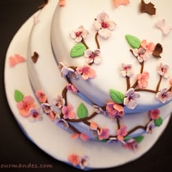 Les Soeurs Gourmandes - Gâteau 3D Arbre