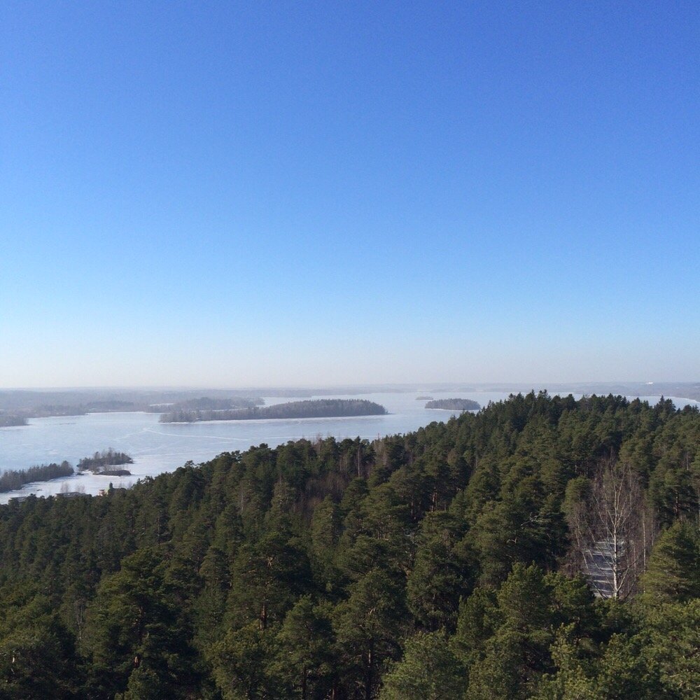 Pyynikin Munkkikahvila - View from the observation tower - Coffee & Tea Near Me - Tampere, 11 Pyynikin Munkkikahvila - View from the observation tower - Coffee & Tea Near Me - Tampere, 11