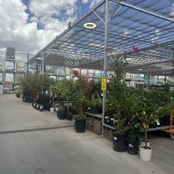 The Home Depot