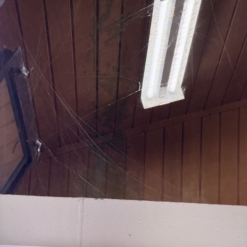 James M. Robb Colorado River State Park - Webs in the bathroom. - Parks Near Me - Fruita, Colorado James M. Robb Colorado River State Park - Webs in the bathroom. - Parks Near Me - Fruita, Colorado