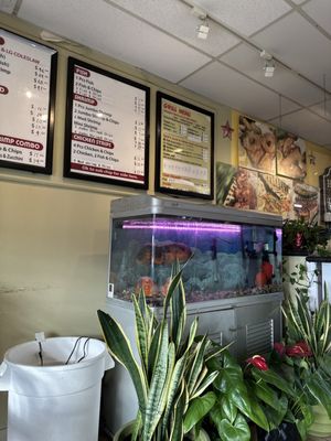 H Salt Fish & Chips by null