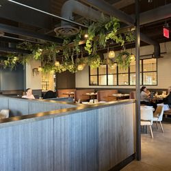 Catalina Kitchen And Bar - Inside