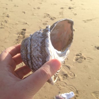 Redondo and Torrance Beach - The find of the day - Beaches Near Me - Redondo Beach, California Redondo and Torrance Beach - The find of the day - Beaches Near Me - Redondo Beach, California