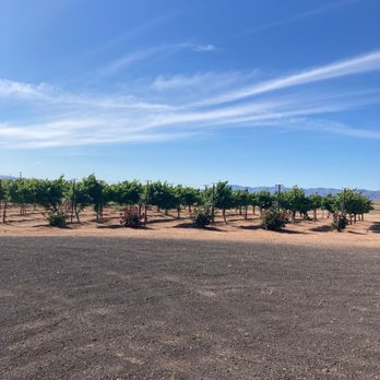 Wildcatter Winery - Wineries Near Me - Kingman, Arizona