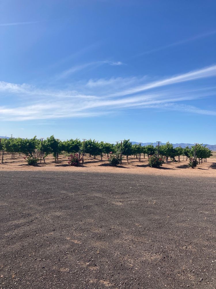 CELLA WINERY nearby at 6927 E Brooks Blvd, Kingman, Arizona 31 Photos