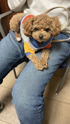 North Shore University Hospital by null