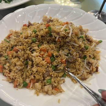 Fung's Kitchen - Chicken and beef fried rice - Dim Sum Near Me - Houston, Texas