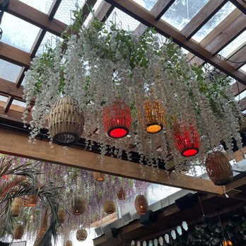 El Techo - Tapas Bars Near Me - Washington, DC, District of Columbia