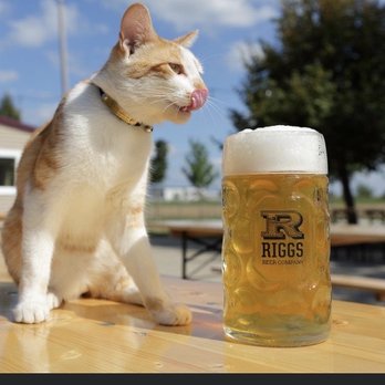 Riggs Beer Company - Breweries Near Me - Urbana, Illinois Riggs Beer Company - Breweries Near Me - Urbana, Illinois