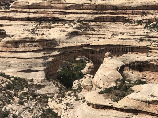 Natural Bridges National Monument by null