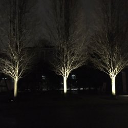 Doherty Landscaping - Landscape lighting installation at a commercial clients property in woburn
