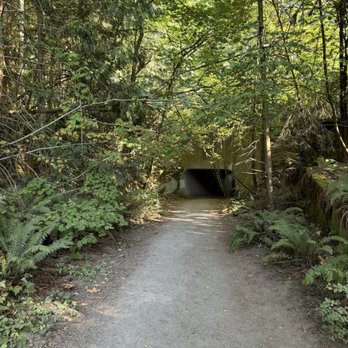 Discovery Park - Parks Near Me - Seattle, Washington Discovery Park - Parks Near Me - Seattle, Washington