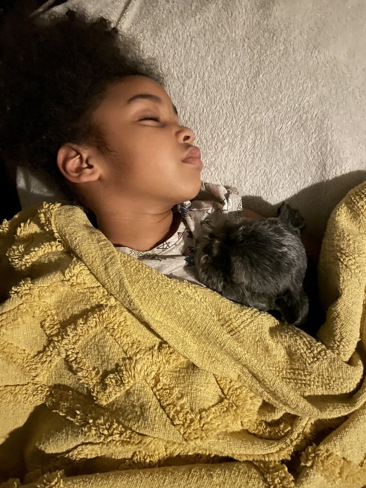 YUPPIE PUPPY PET GROOMING SALON Updated August 2024 49 Photos & 30