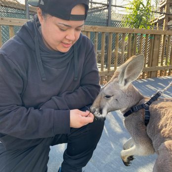 Vision Quest Ranch - Animal encounter #1 - Bed & Breakfast Near Me - Salinas, California