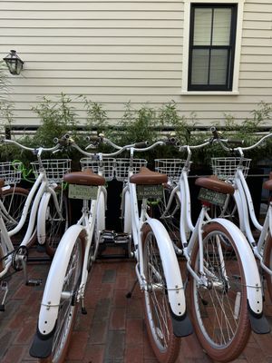 Hotel Albatross by null