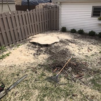 County Tree Service - Tree Services Near Me - Stickney, Illinois