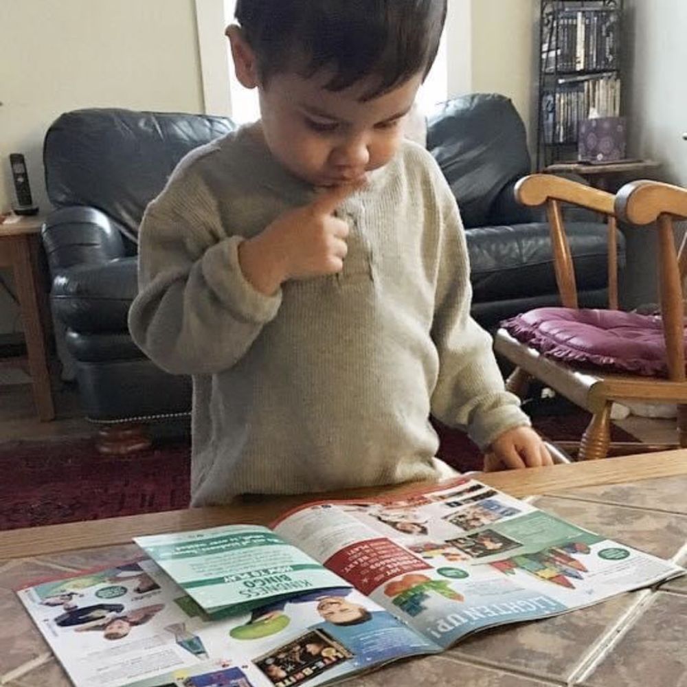 Toy Chest catalog Toy Chest catalog