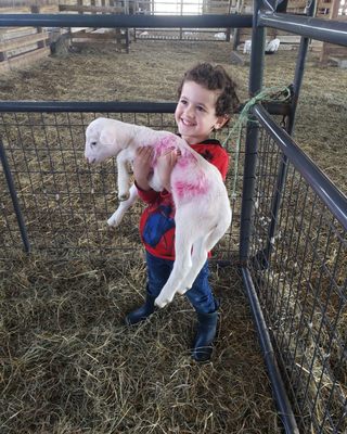 Kinderhook Farm by null