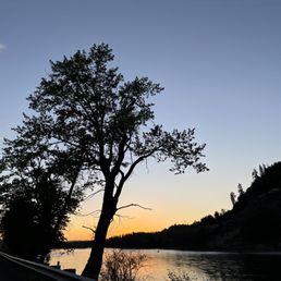 GNP
