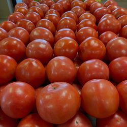 Carmichael's Produce - We have Florida Tomatoes