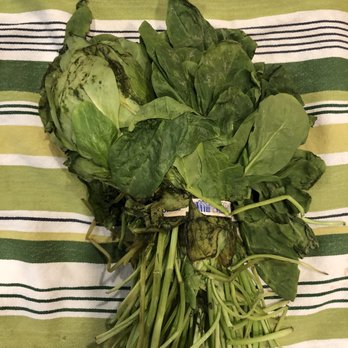 Dig Inn - Rotting spinach -- farm share box - New American Near Me - Boston, Massachusetts Dig Inn - Rotting spinach -- farm share box - New American Near Me - Boston, Massachusetts