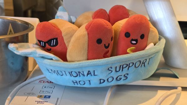 South Park Coney Island by null