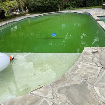 Vacazon - Green pool - Vacation Rentals Near Me - Bay Harbor Islands, Florida