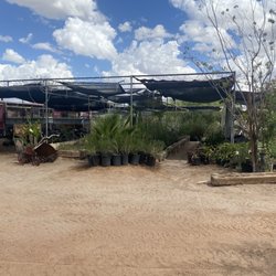 Distinctive Earthscapes At The Avocado Nursery - Plants