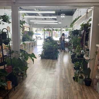 Habitat Plants + Coffee - Coffee & Tea Near Me - McKinney, Texas