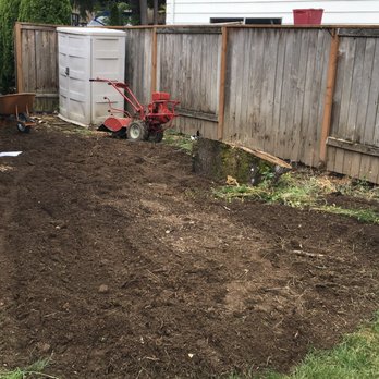 Iongrass - Side yard project, tree removal - Pressure Washers Near Me