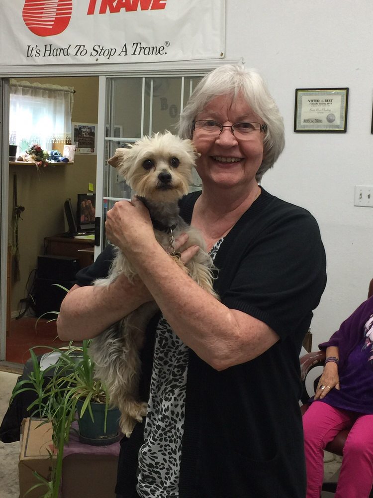 Slide of Bonito River Services