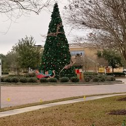 Towne Center at Cedar Lodge