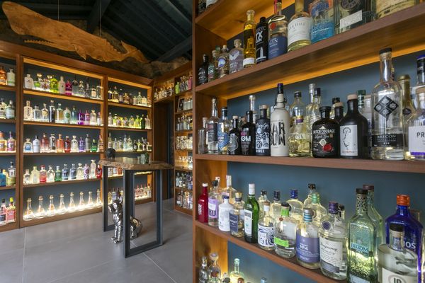 The Gin Library - The Worlds Largest Gin Collection by null