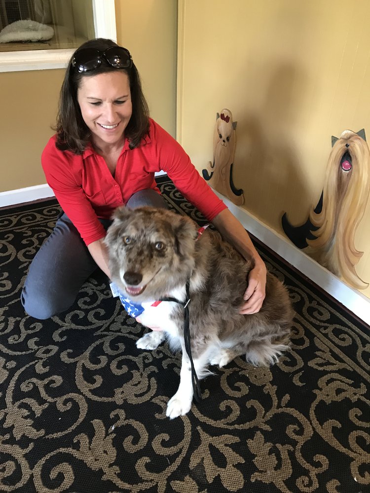 HAPPY TAILS PET RESORT Updated September 2024 22 Photos & 13