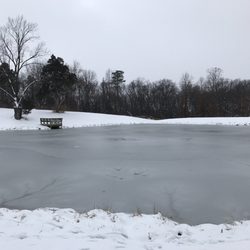 Frozen lake