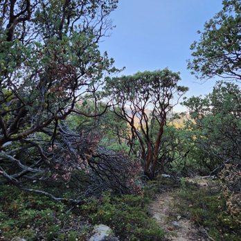 Chilnualna Falls Trail - Chilnualna Falls Trailhead, Yosemite National Park: 2026 Jul 29 - Hiking Near Me - Wawona, California Chilnualna Falls Trail - Chilnualna Falls Trailhead, Yosemite National Park: 2026 Jul 29 - Hiking Near Me - Wawona, California
