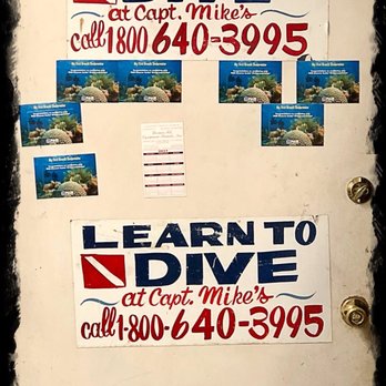 Captain Mike's Diving Service - Diving Near Me - Bronx, New York