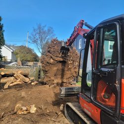 Billy Tree Services