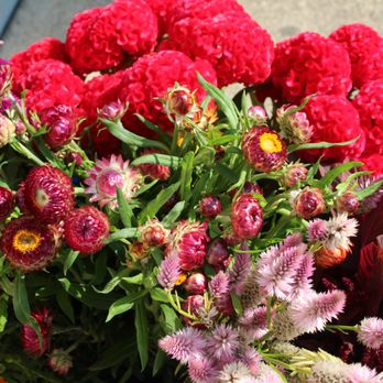 Berlin Blossom Shoppe - Lovely locally grown flowers! - Florists Near Me - Maple Shade, New Jersey