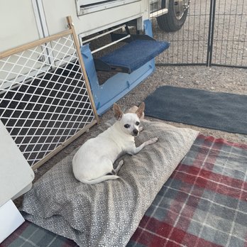 Rice Ranch RV Park - Lola - Campgrounds Near Me - Quartzsite, Arizona Rice Ranch RV Park - Lola - Campgrounds Near Me - Quartzsite, Arizona