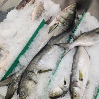 Utica Fish Market - Utica Fish Market - Meat Shops Near Me - Brooklyn, New York Utica Fish Market - Utica Fish Market - Meat Shops Near Me - Brooklyn, New York