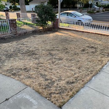 The Best Tree Care Service - After - Tree #2. Looks like a tree was never there. great work. - Tree Services Near Me The Best Tree Care Service - After - Tree #2. Looks like a tree was never there. great work. - Tree Services Near Me