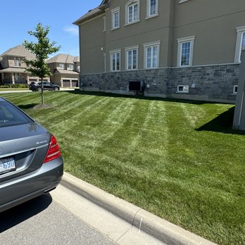 Alex’s Lawn Snow - Lawn Services Near Me Alex’s Lawn Snow - Lawn Services Near Me