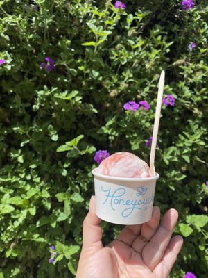 Honeysuckle Gelato Fenton by null