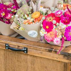 Meridian Monday Night Market - McCallister Gardens